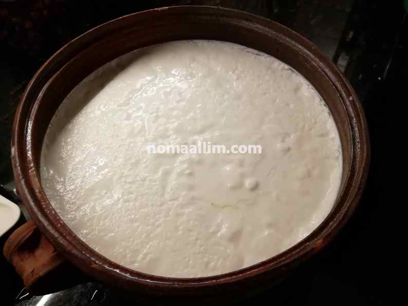 homemade yogurt in terracotta bowl