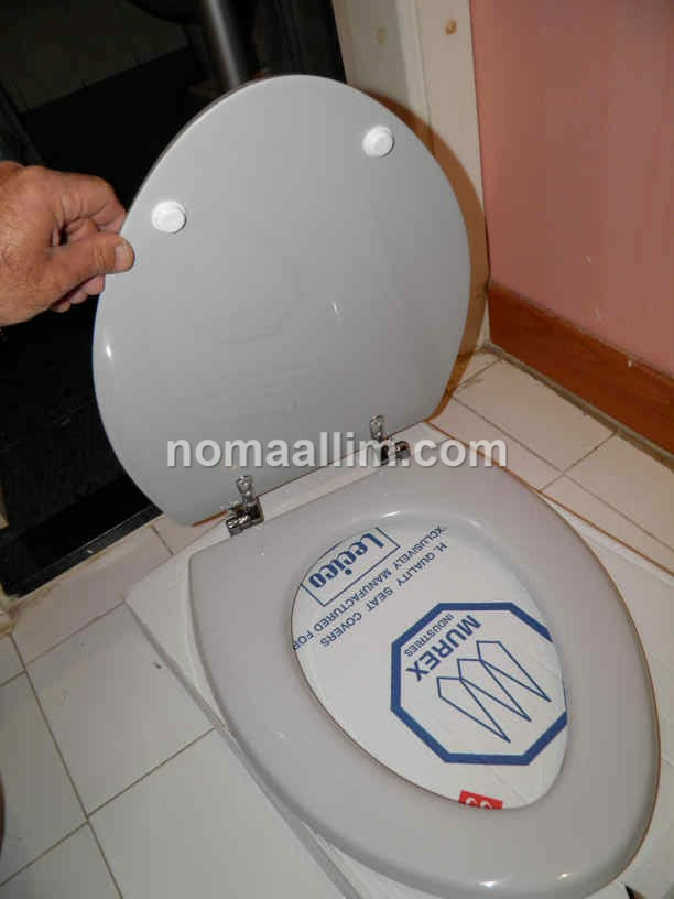 toilet seat replacement
