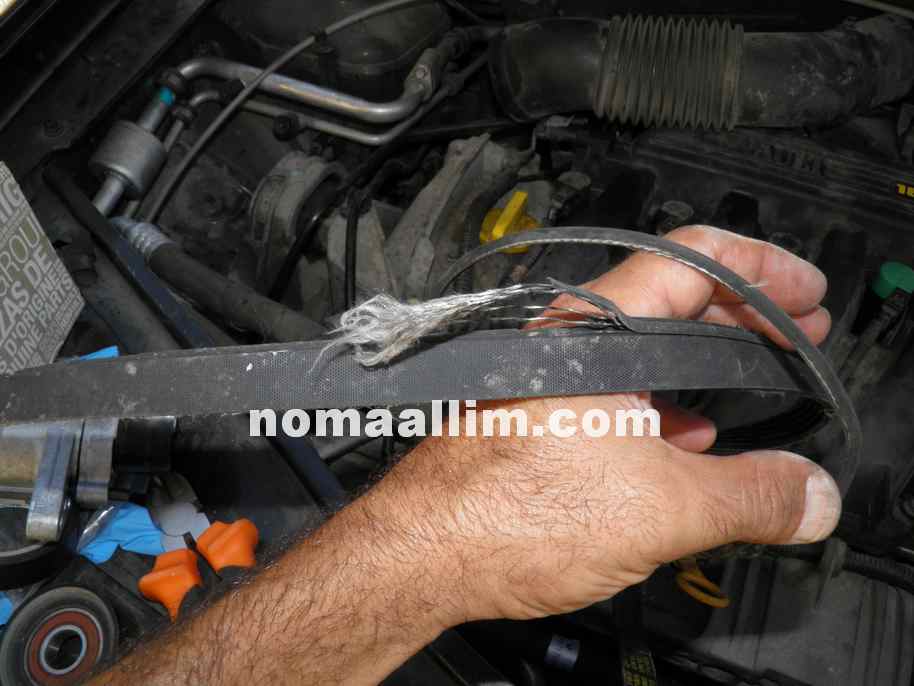 rat damage in drive belt in a car