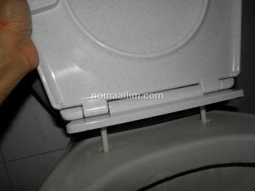 How To Replace The Toilet Seat Universal Seats - How To Change The Toilet Seat Cover