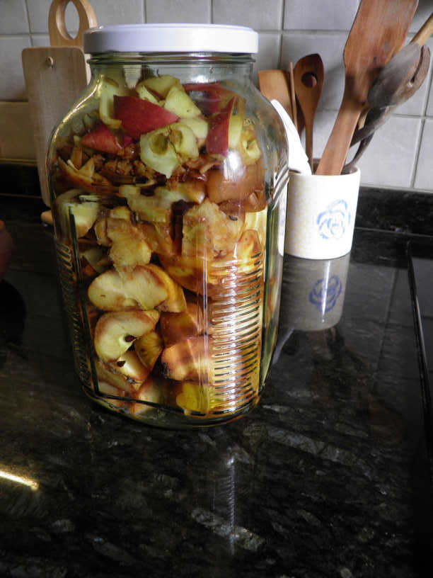 homemade apple vinegar